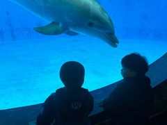-海合安成都极地海洋公园