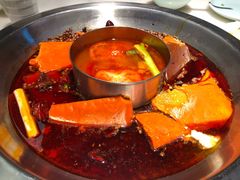 -孙毛肚火锅(春熙路店)