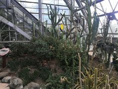 -南山植物园