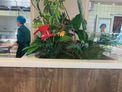-直隶安家罩饼(复兴路店)