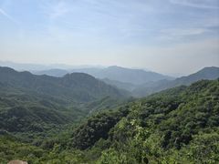 -大岭沟猕猴桃谷风景区