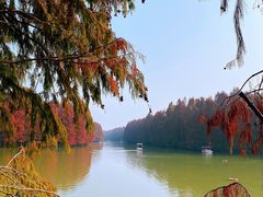 -上海海湾国家森林公园