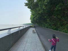-大湾区中央湿地公园