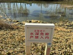 -东郊湿地公园