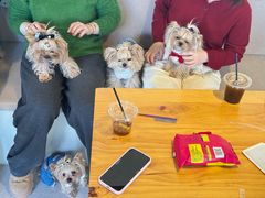 -J Create城市露营咖啡·简餐·宠物(上海动物园店)