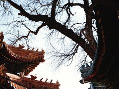 -贤良祠