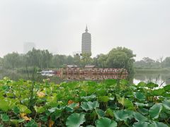 -西海子公园