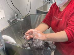 -PETKIT小佩宠物(古北店)