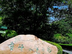 -童牛岭风景区