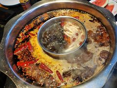 -一斗火锅·招财羊毛肚(泰吉滨江店)