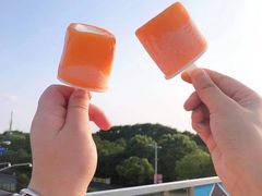 -上海玛雅海滩水公园