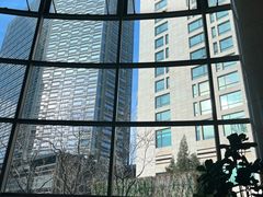 -Plush大堂酒廊(北京金融街威斯汀大酒店)