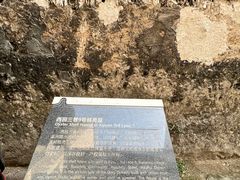 -小洲村