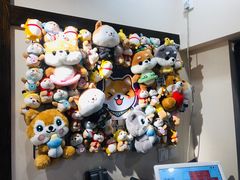 -逗柴咖啡屋·狗咖猫咖宠物桌游