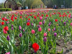 -长春公园(普阳街道)