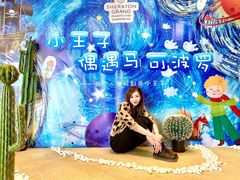 -郑州美盛喜来登大酒店