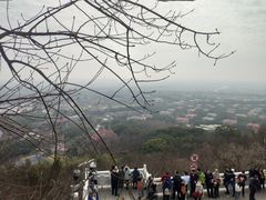 -上海佘山国家森林公园西佘山园