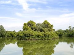 -大湾区中央湿地公园