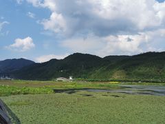 -腾冲北海湿地
