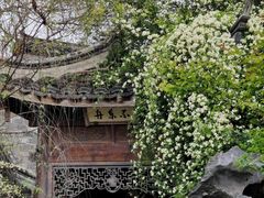 -芥子园