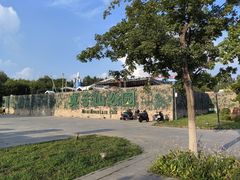 -莫子山公园