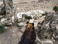 -成都动物园
