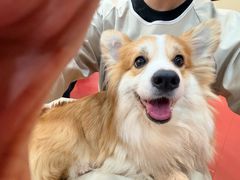 -和它·交个朋友·狗咖猫咖(爱琴海店)