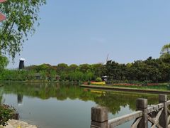 -上海鲜花港