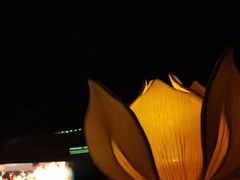 -鼎盛王朝康熙大典实景演出