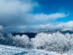 -大秃顶子山