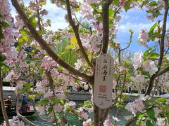 -元大都城垣遗址公园