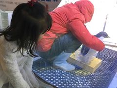 -芜湖新华联大白鲸海洋公园