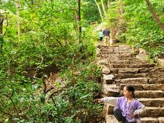 -大岭沟猕猴桃谷风景区
