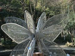 -杭州黄龙洞