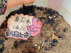 -大观篆新农贸市场