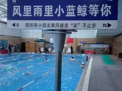 -小蓝鲸游泳培训基地(积水潭店)