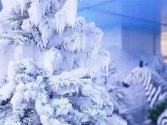 -玉龙滑雪场