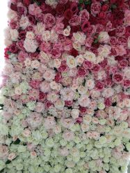 -WITCH （舞季）舞蹈工作室