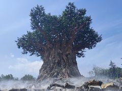 -郑州银基国际旅游度假区