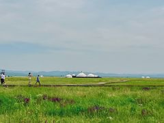 -敕勒川草原