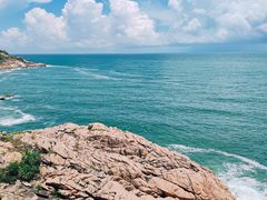 -广东惠东海龟国家级自然保护区