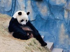 -泉州海丝野生动物世界