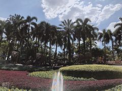-东芭乐园