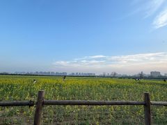 -汉长安城未央宫国家考古遗址公园