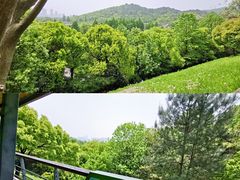 -西湖风景区-江洋畈生态公园