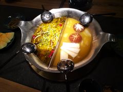 花胶锅底-湊湊火锅·茶憩(东城万达店)