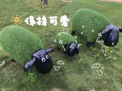 -黄海国家森林公园