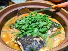 -九道菜有鸡鱼头(石鼓路店)