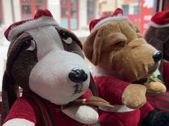 -地二手作鱼汤馄饨(上街里店)