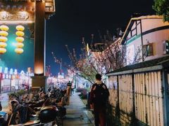 -运河游船(武林门码头)